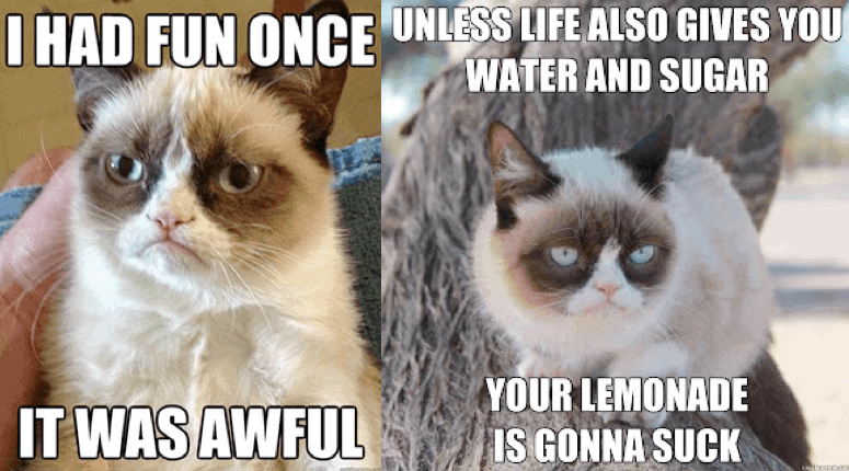 grumpy-cat