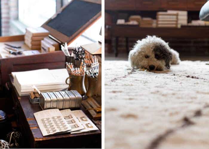 hammer_and_spear_emily_henderson_store_tour_downtown_los_angeles_vintage_office_supplies_puppy